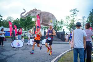 BIB: 
                            <button type="button" onclick="openModal(26551639)" class="btn btn-primary btn-sm float-right btn-popup" data-toggle="modal" data-target=".modal-high-quality">
                        <i class="fas fa-shopping-cart"></i> Add to Cart
                    </button>
                                            <button type="button" onclick="isThisMe(26551639, true)" class="btn btn-success btn-sm float-right btn-popup btn-isme hidden" data-toggle="tooltip" data-placement="bottom" title="นี่คือรูปของคุณใช่ไหม คลิกที่นี่เพื่อเอาเข้าอัลบั้ม">
                        <i class="fas fa-plus"></i> Add to album
                    </button>
                    <button type="button" onclick="isThisMe(26551639, false)" class="btn btn-warning btn-sm float-right btn-popup btn-isnotme hidden">
                        <i class="fas fa-ban"></i> Remove from album
                    </button>